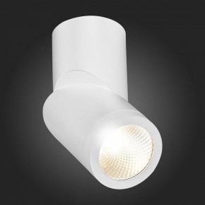 Светильник на штанге ST-Luce ST650 ST650.532.10 в Сысерти - sysert.mebel24.online | фото 6