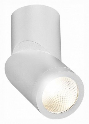 Светильник на штанге ST-Luce ST650 ST650.542.10 в Сысерти - sysert.mebel24.online | фото 3