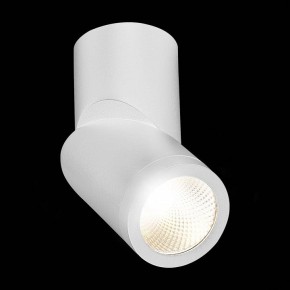 Светильник на штанге ST-Luce ST650 ST650.542.10 в Сысерти - sysert.mebel24.online | фото 5