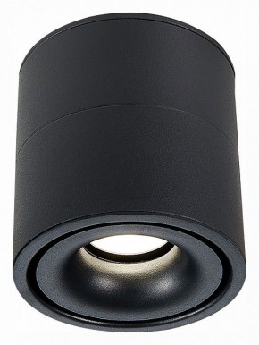 Светильник на штанге ST-Luce ST652 ST652.442.12 в Сысерти - sysert.mebel24.online | фото 2