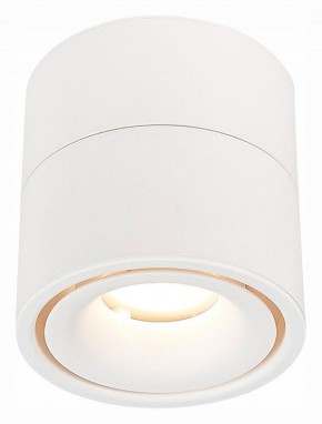 Светильник на штанге ST-Luce ST652 ST652.532.12 в Сысерти - sysert.mebel24.online | фото 2