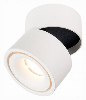 Светильник на штанге ST-Luce ST652 ST652.532.12 в Сысерти - sysert.mebel24.online | фото 3