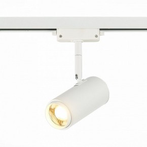Светильник на штанге ST-Luce Zoom ST600.536.12 в Сысерти - sysert.mebel24.online | фото 2