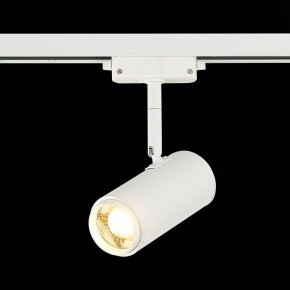 Светильник на штанге ST-Luce Zoom ST600.536.12 в Сысерти - sysert.mebel24.online | фото 4
