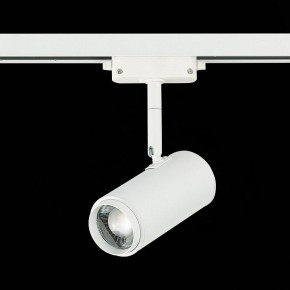 Светильник на штанге ST-Luce Zoom ST600.546.12 в Сысерти - sysert.mebel24.online | фото 5