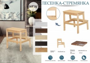 Табурет Стремянка в Сысерти - sysert.mebel24.online | фото 6