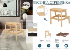 Табурет Стремянка в Сысерти - sysert.mebel24.online | фото 3