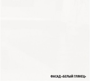 ТЕРЦИЯ Кухонный гарнитур Мега Прайм (1200*1600 мм) в Сысерти - sysert.mebel24.online | фото 4