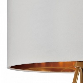 Торшер Lumion Tapioka 8077/1F в Сысерти - sysert.mebel24.online | фото 6