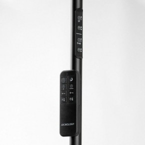 Торшер Lussole Carmel LSP-0901-SE в Сысерти - sysert.mebel24.online | фото 5