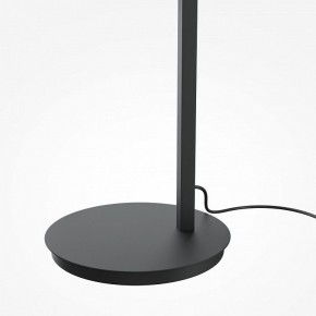Торшер Maytoni Emphaty MOD363FL-L14B3K в Сысерти - sysert.mebel24.online | фото 5