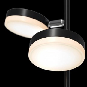 Торшер Maytoni Fad MOD070FL-L12B3K в Сысерти - sysert.mebel24.online | фото