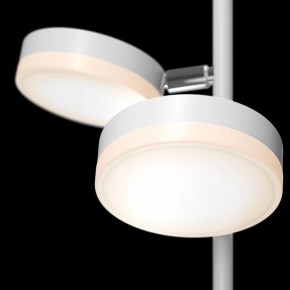 Торшер Maytoni Fad MOD070FL-L12W3K в Сысерти - sysert.mebel24.online | фото 5