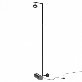 Торшер Maytoni Pikant MOD372FL-L10B3K в Сысерти - sysert.mebel24.online | фото