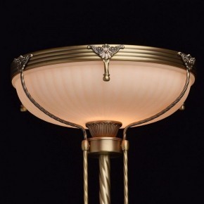 Торшер MW-Light Афродита 1 317040901 в Сысерти - sysert.mebel24.online | фото 4