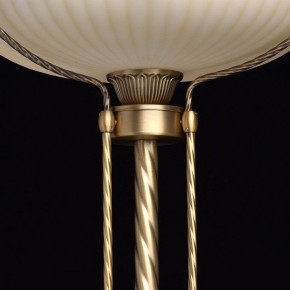 Торшер MW-Light Афродита 1 317040901 в Сысерти - sysert.mebel24.online | фото 6
