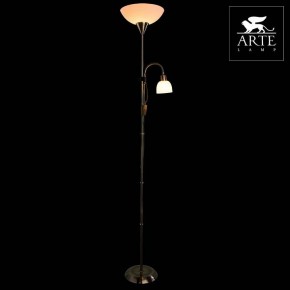 Торшер с подсветкой Arte Lamp Duetto A9569PN-2AB в Сысерти - sysert.mebel24.online | фото 3