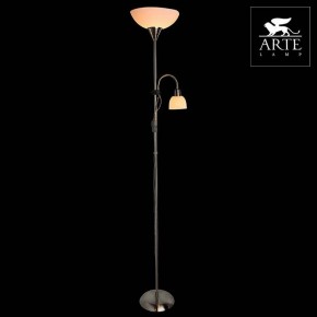 Торшер с подсветкой Arte Lamp Duetto A9569PN-2SS в Сысерти - sysert.mebel24.online | фото 3