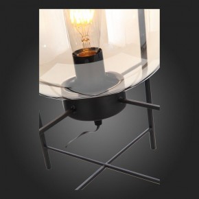 Торшер ST-Luce Burasca SL1050.505.01 в Сысерти - sysert.mebel24.online | фото 8