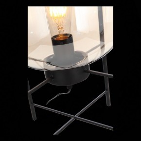 Торшер ST-Luce Burasca SL1050.505.01 в Сысерти - sysert.mebel24.online | фото 9