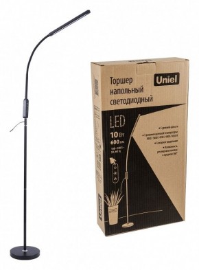 Торшер Uniel ULM-T619 UL-00010178 в Сысерти - sysert.mebel24.online | фото 2