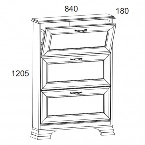 Тумба для обуви 3D TIFFANY, цвет вудлайн кремовый в Сысерти - sysert.mebel24.online | фото 2