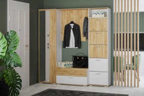 Тумба для обуви НМ 013.25 "Санти" (Белый/Крафт Золотой) в Сысерти - sysert.mebel24.online | фото 3