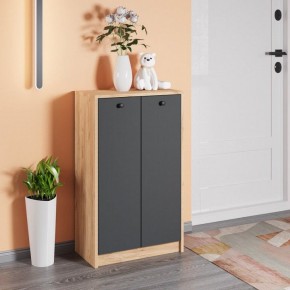 Тумба для обуви Рино в Сысерти - sysert.mebel24.online | фото 3