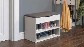 Тумба для обуви Тип 11 в Сысерти - sysert.mebel24.online | фото 6