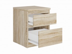 Тумба КАСТОР малая с двумя ящиками, цвет Дуб Сонома в Сысерти - sysert.mebel24.online | фото 2