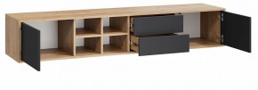 Тумба под ТВ Тип 5 в Сысерти - sysert.mebel24.online | фото 2