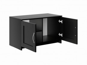 Тумба СИРИУС двухдверная низкая, цвет Дуб Венге в Сысерти - sysert.mebel24.online | фото 3