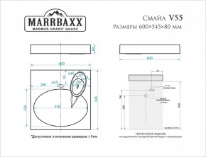 Умывальник над стиральной машиной (600*545*80) Смайл V55D1 (белый) с кронштейном без сифона (V55D1) в Сысерти - sysert.mebel24.online | фото 2