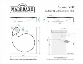 Умывальник над стиральной машиной (600*600х100) Лилия V60 (белый) с кронштейном без сифона (V60) в Сысерти - sysert.mebel24.online | фото 2