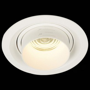 Встраиваемый светильник ST-Luce Zoom ST701.538.12 в Сысерти - sysert.mebel24.online | фото 4