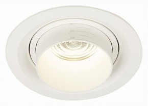 Встраиваемый светильник ST-Luce Zoom ST701.548.12 в Сысерти - sysert.mebel24.online | фото 2
